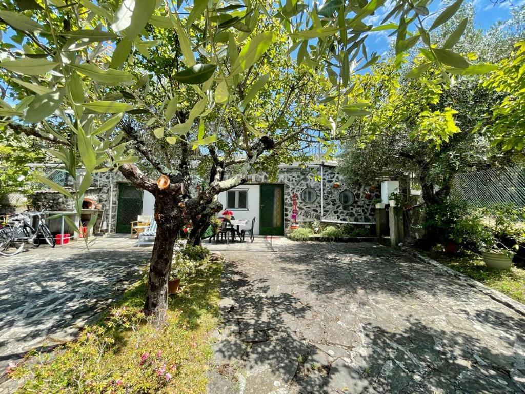 Rosy Apartment - Levanto, 5 Terre Exterior photo